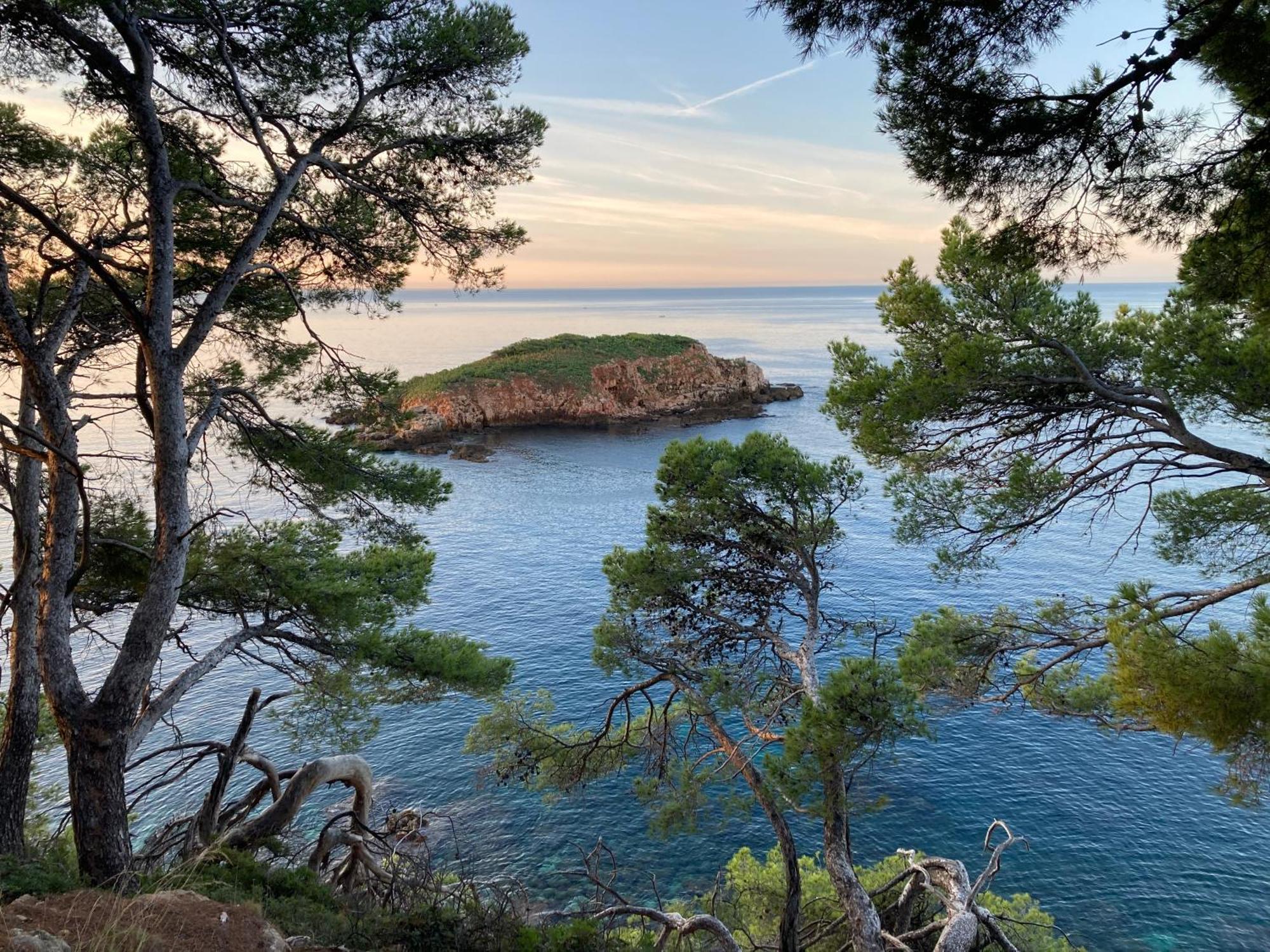 Hotel Plein Large Bandol Zewnętrze zdjęcie